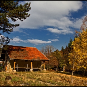 Свети Никола /село Слокощица/