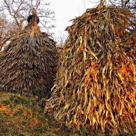 На село