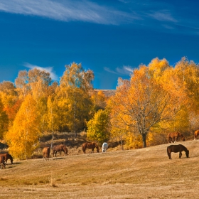 есенно