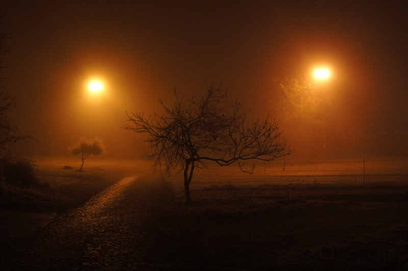  In the Mist of Morning