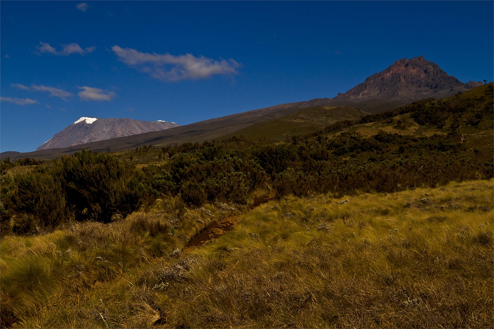 Обзорно: -  Mt. KILIMANJARO   -  вр. Ухуро 5895м.......  - AFRIKA ..... снимка № 10