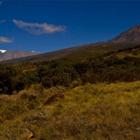 Обзорно: -  Mt. KILIMANJARO   -  вр. Ухуро 5895м.......  - AFRIKA ..... снимка № 10