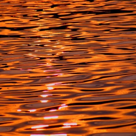 The golden water of Porto Carras