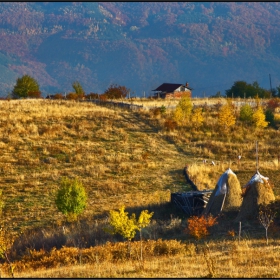 в планината....