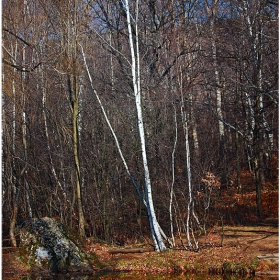 Есен