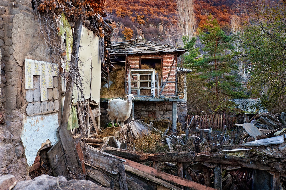 Животът в Жребичко