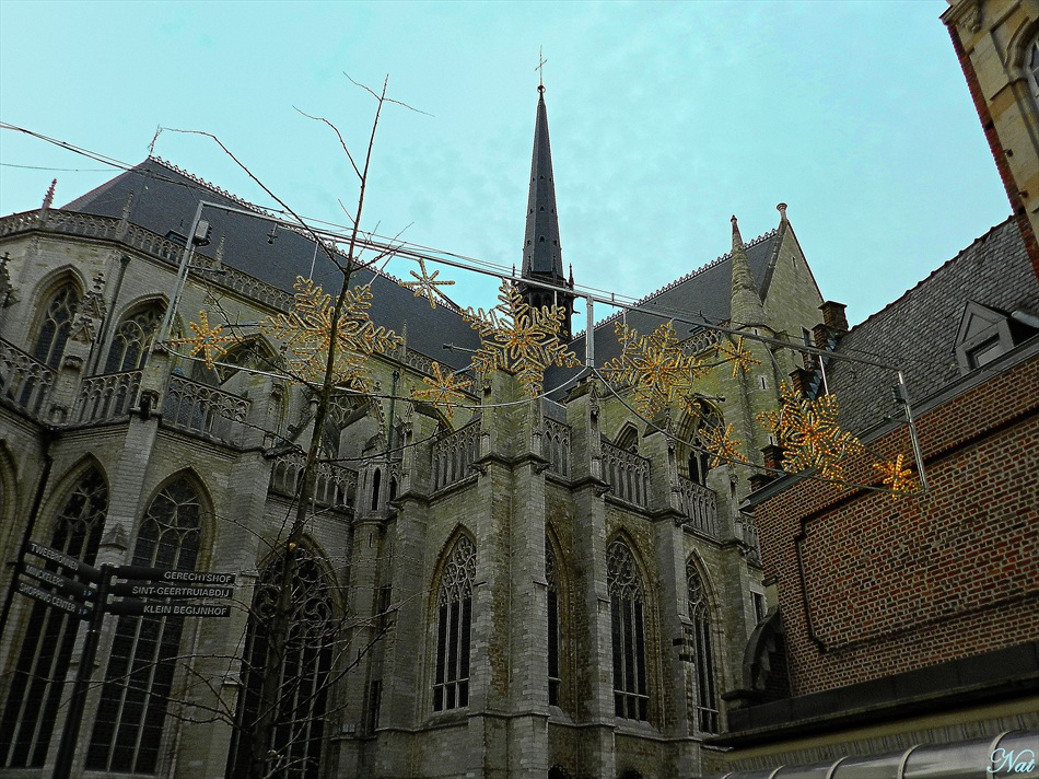 Църквата Sint-Pieterskerk в Льовен