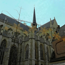 Църквата Sint-Pieterskerk в Льовен