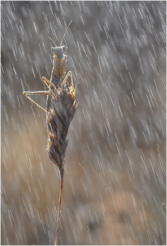 November rain :-)
