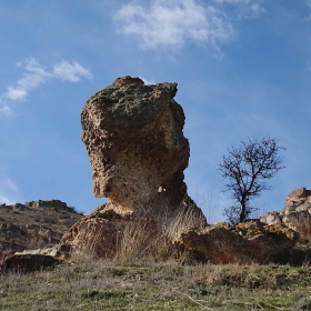 Тиранозавър Рекс