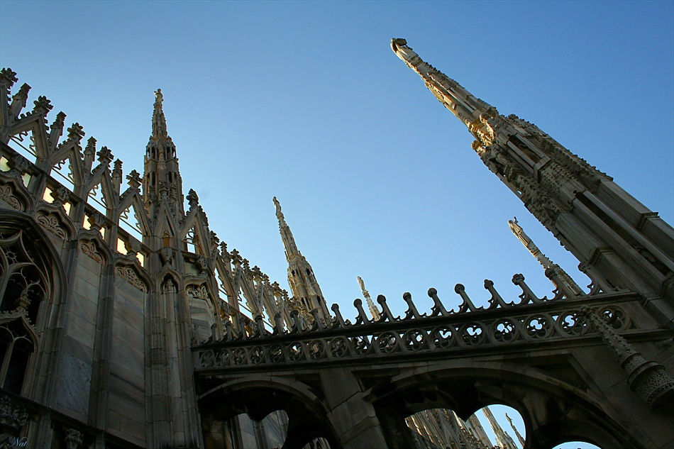 Il Duomo /6