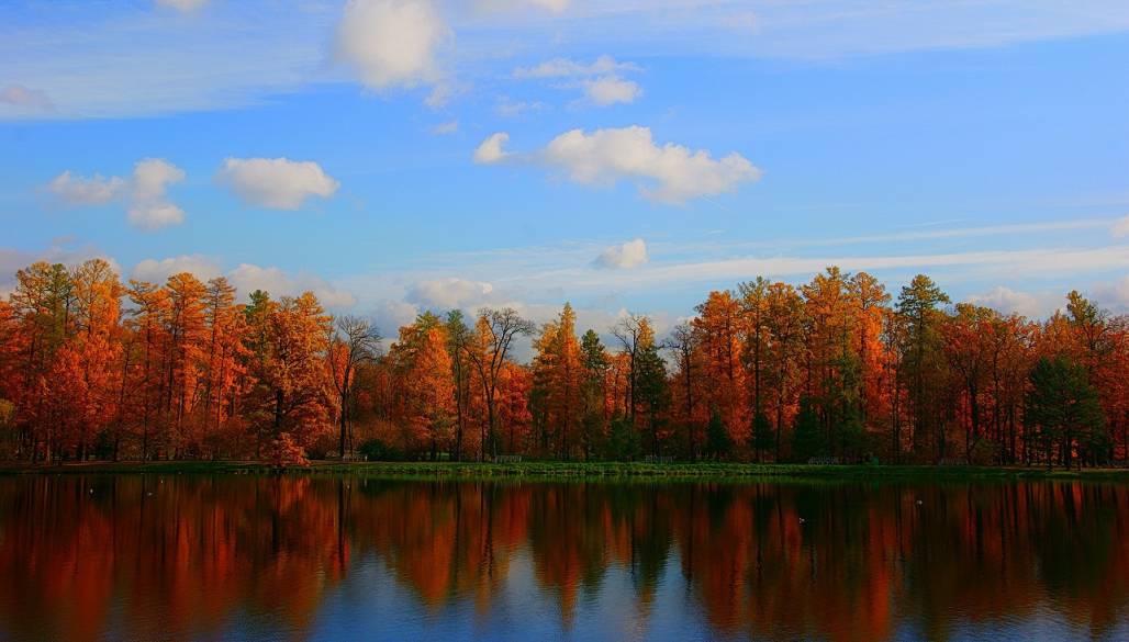 Осень