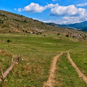 Когато овцете се запътиха към сянката.