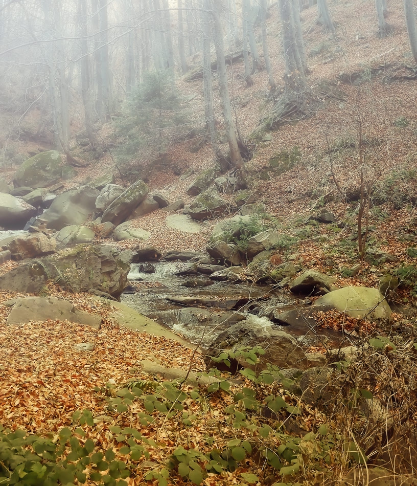 weeping mist