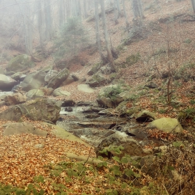weeping mist
