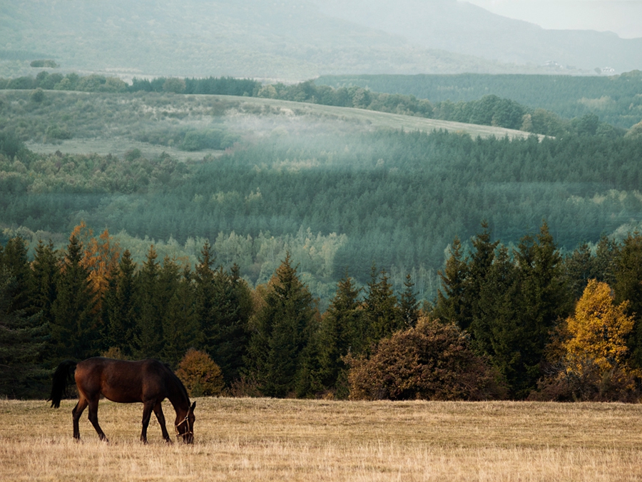 Vitosha