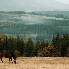 Vitosha