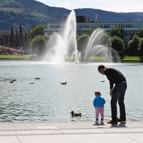 Water...ducks...generations...