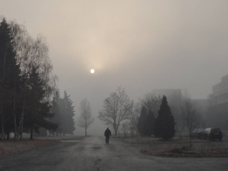 Зимно утро