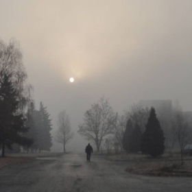 Зимно утро