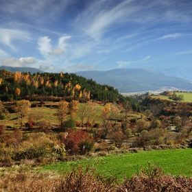 Крайпътно