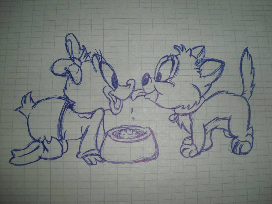 Снимка без име