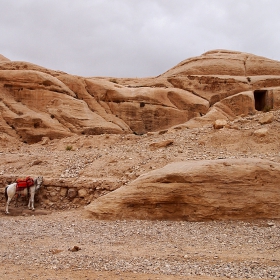 Back in Petra, Jordan