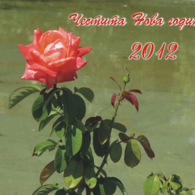 Честита Новата 2012 година!