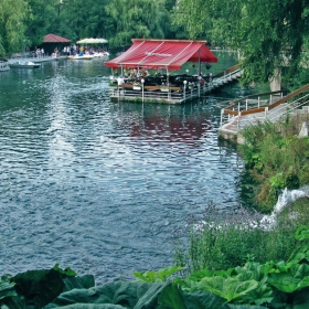 Зелена прохлада