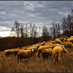 в края на деня...