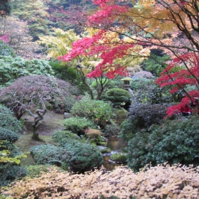 japonska gradina