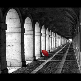  The Red Umbrella