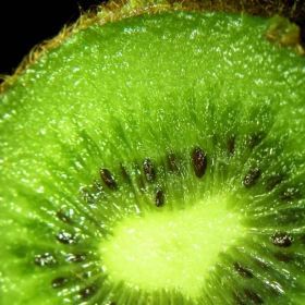 KIWI