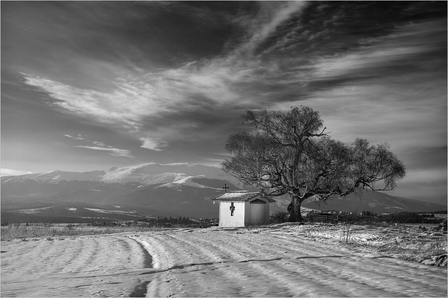 В полите на Витоша...BW