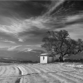 В полите на Витоша...BW