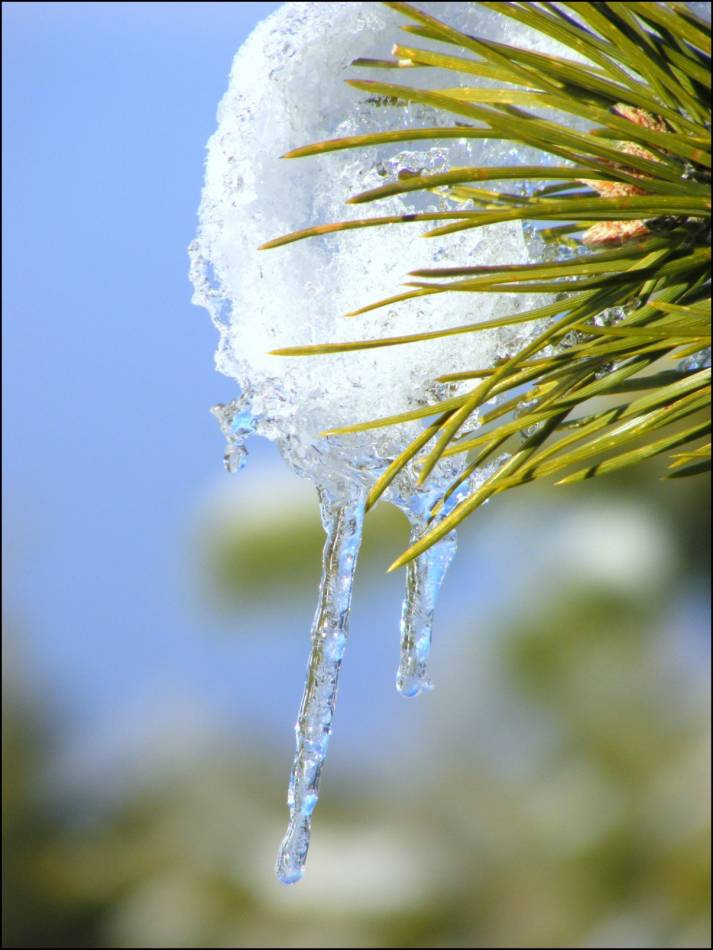 Tears of the winter