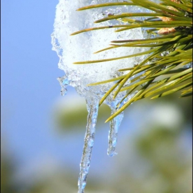 Tears of the winter