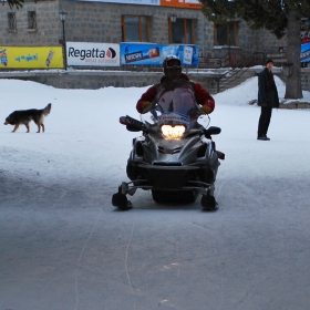 Моторната Шейна