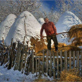 Зимно ежедневие...