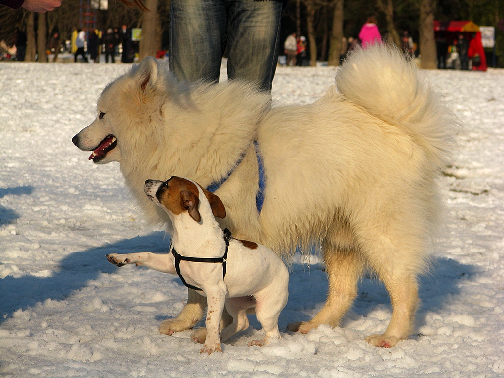 Give me five!
