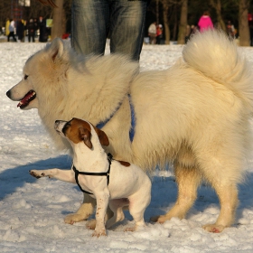 Give me five!