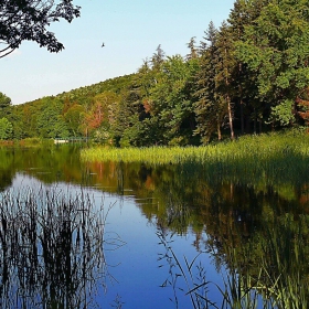 На бистрата вода се радват всички -  хора, животинки, птички.