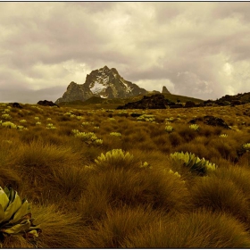 Африка  Mount Kenya