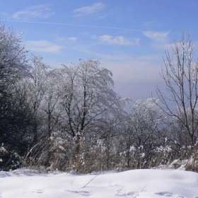 zimna vitosha