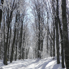 zimna vitosha 3