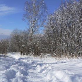 zimna vitosha 4