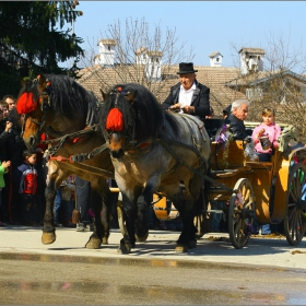 12 март 2011г... с. Арбанаси.....