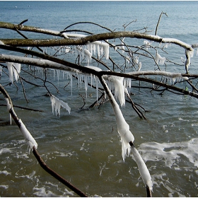 Довиждане на  зимата