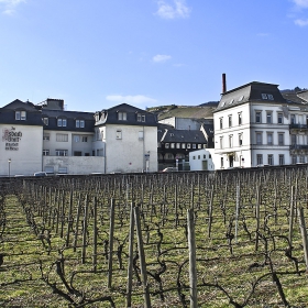 Рюдесхайм на Рейн  / Ruedesheim am Rhein -  Фабриката за производтсво на коняк Asbach Uralt