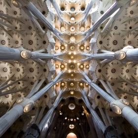 Колоните-дървета на Антони Гауди, La Sagrada Familia